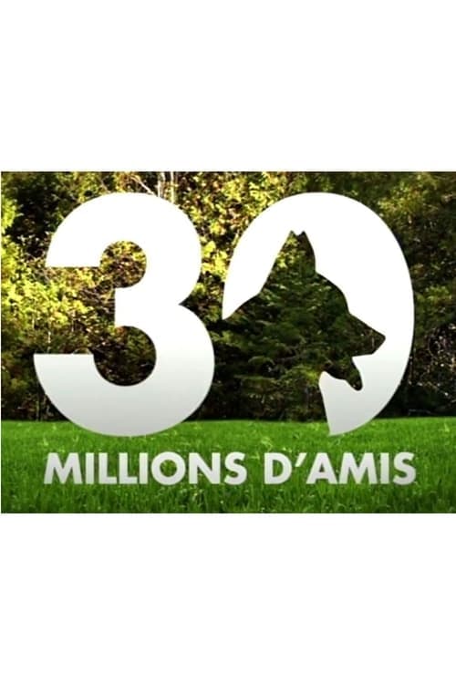 30 millions d'amis 1976 [PL] Vider HDRip