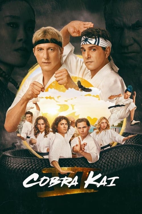 Cobra Kai 2018 [PL] Vider HDRip