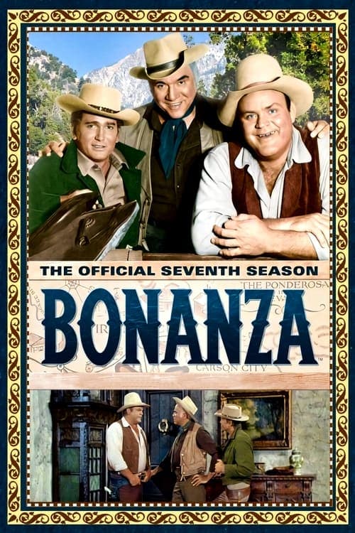 Bonanza Vider