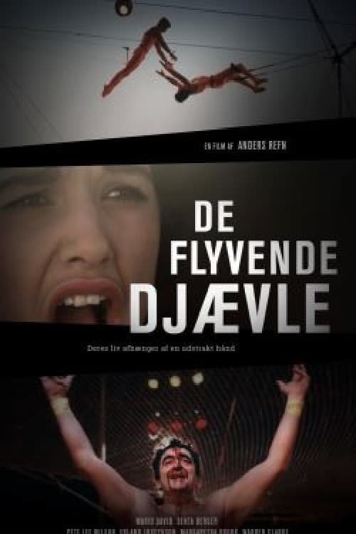 De flyvende djævle Vider