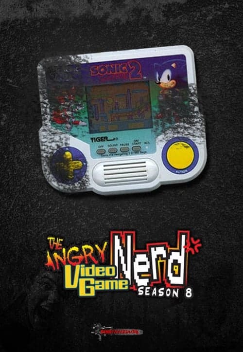 The Angry Video Game Nerd Vider