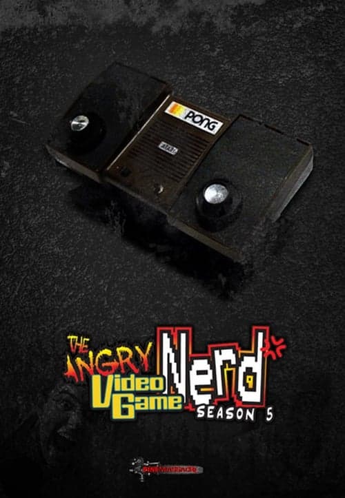 The Angry Video Game Nerd Vider