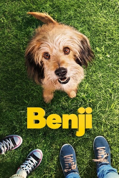 Benji Vider