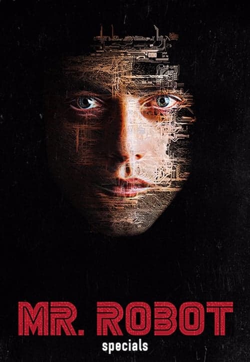 Mr. Robot Vider