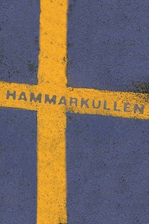 Hammarkullen 1997 [PL] Vider HDRip