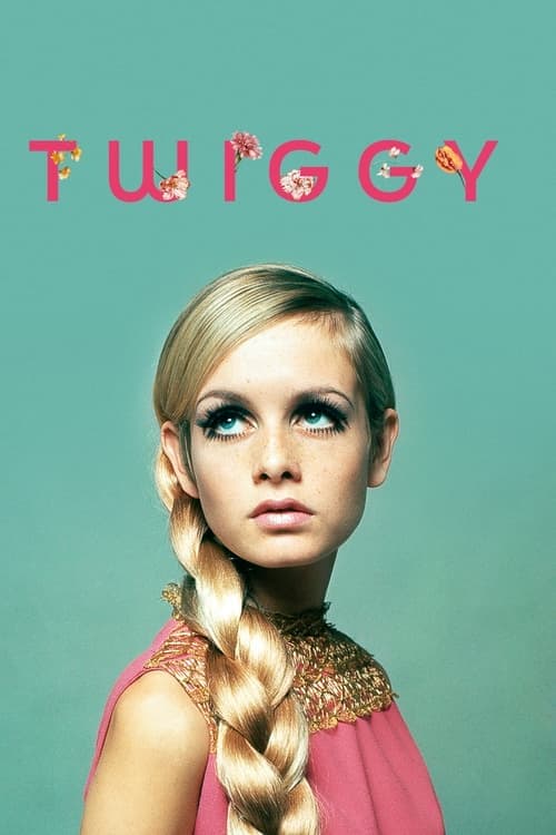 Twiggy Vider