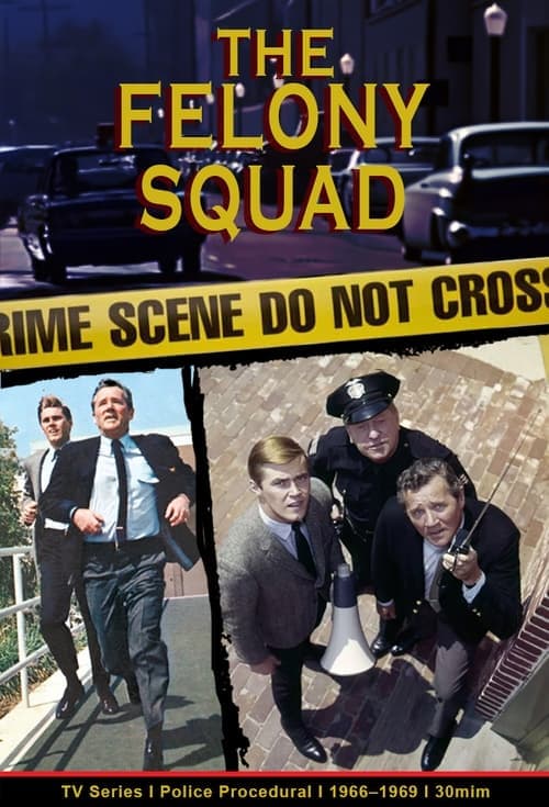 Felony Squad 1966 [PL] Vider HDRip