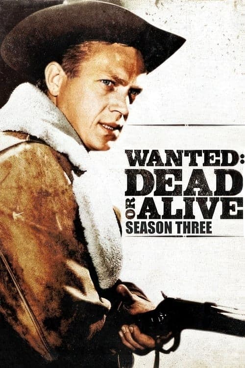 Wanted: Dead or Alive Vider