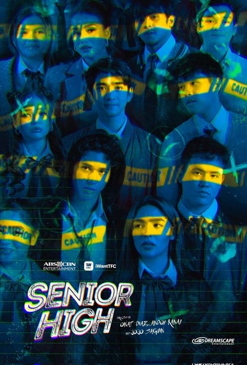 Senior High Vider