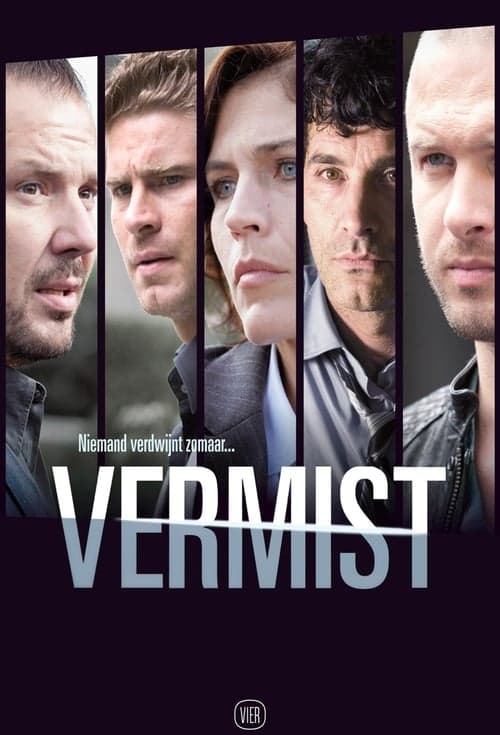 Vermist 2008 [PL] Vider HDRip