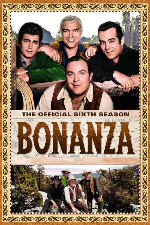 Bonanza Vider