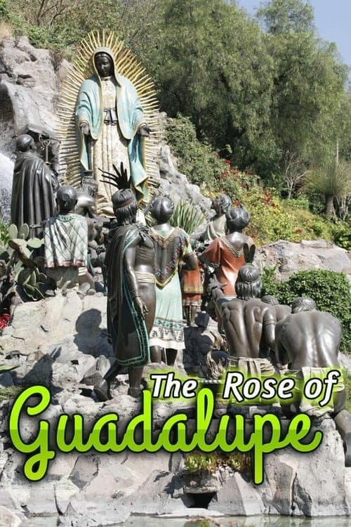 La rosa de Guadalupe 2008 [PL] Vider HDRip