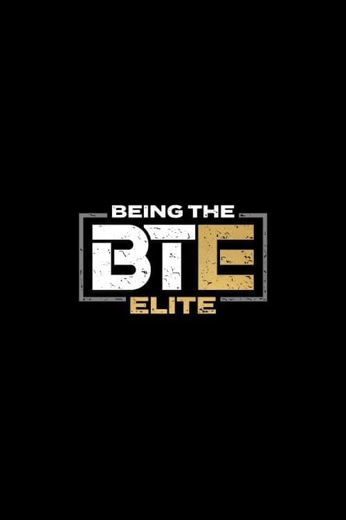 Being The Elite Vider