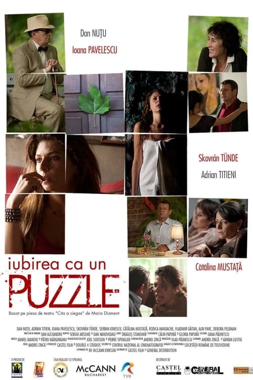 Puzzle dla niewidomego Vider