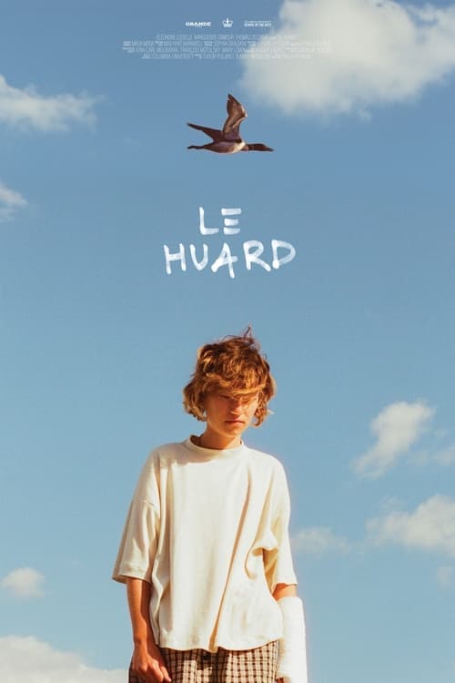 Le Huard Vider