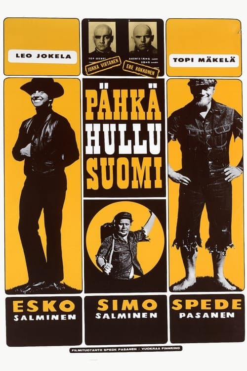 Pähkähullu Suomi Vider