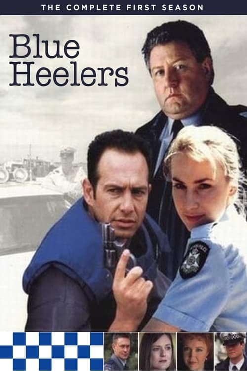 Blue Heelers Vider