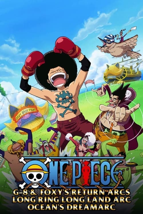 One Piece Vider