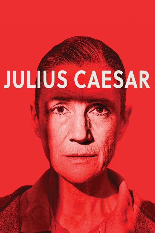 Julius Caesar Vider