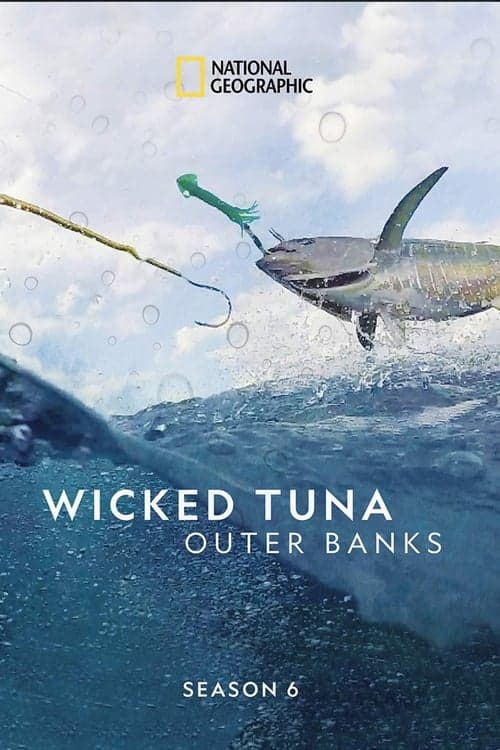 Wicked Tuna: North VS South Vider