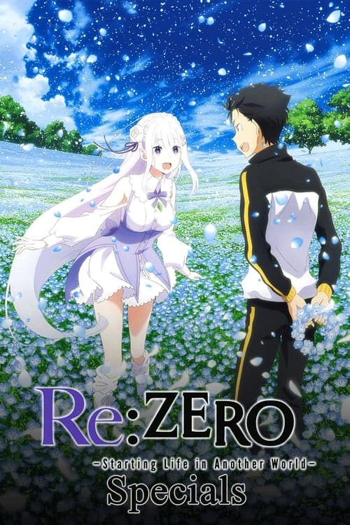 Re:ZERO -Starting Life in Another World- Vider