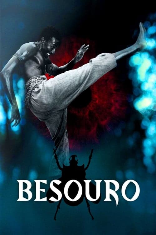 Besouro Vider