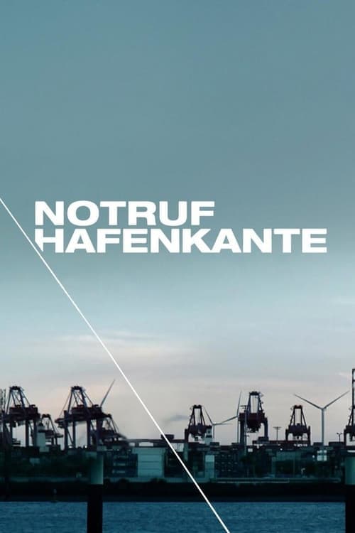 Notruf Hafenkante 2007 [PL] Vider HDRip