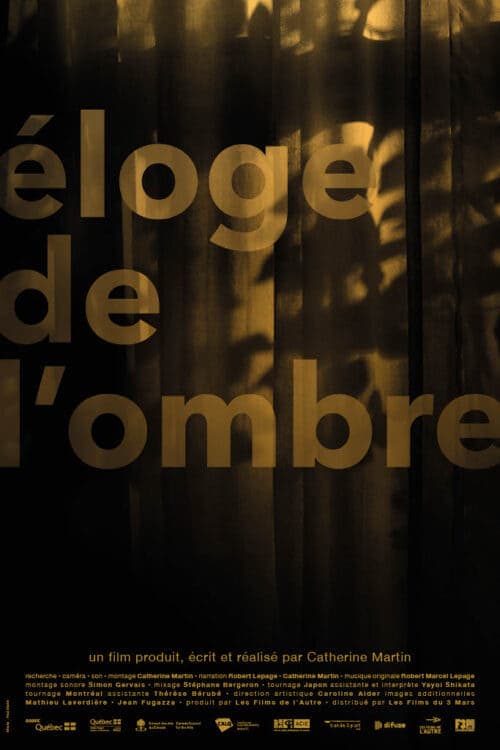 Éloge de l'ombre Vider