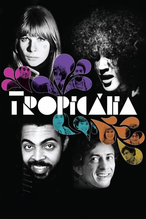 Tropicália Vider