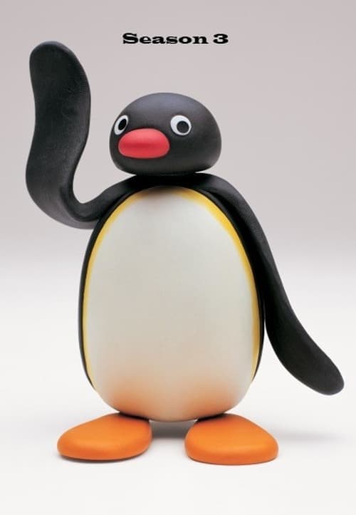 Pingu Vider