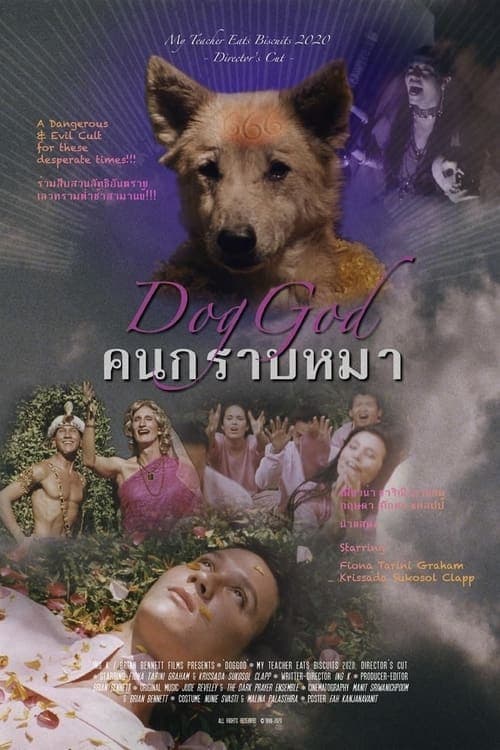 DogGod Vider