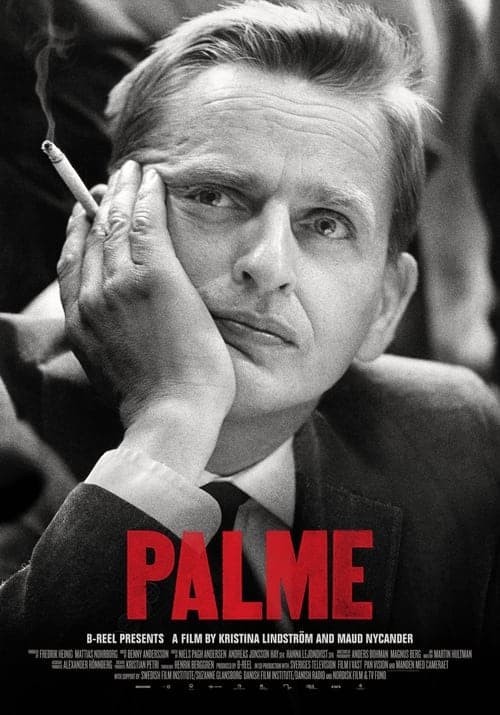 Palme Vider