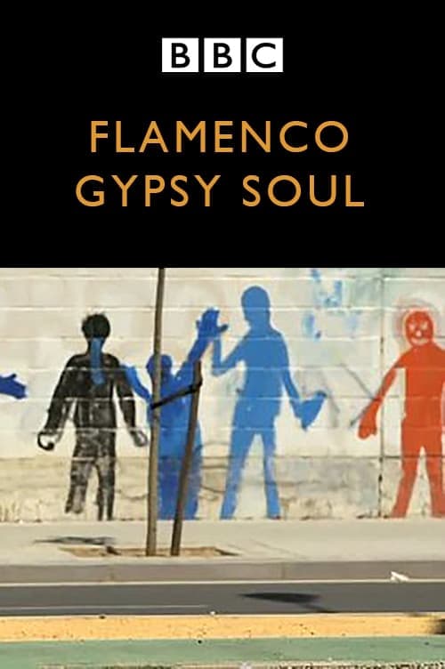 Flamenco Gypsy Soul Vider