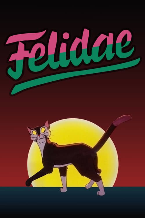 Felidae Vider