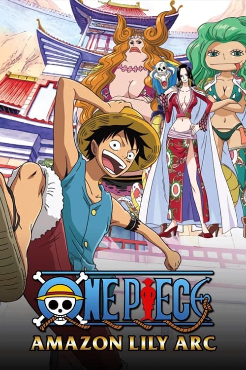 One Piece Vider