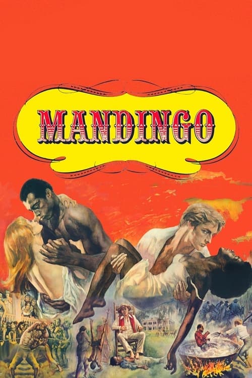 Mandingo Vider