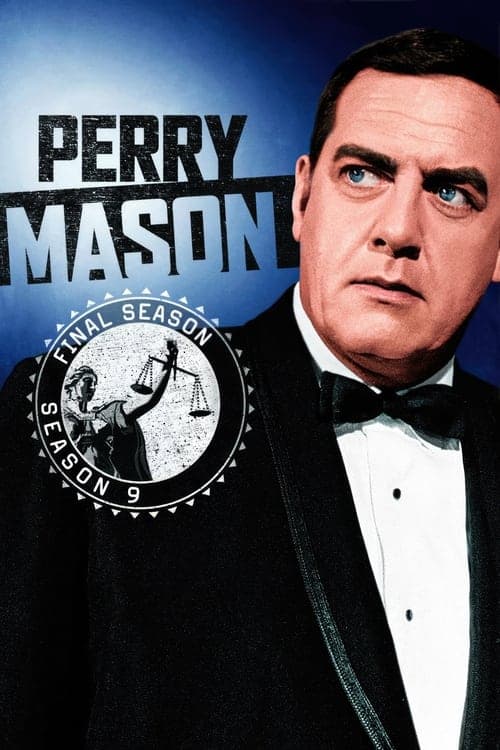 Perry Mason Vider