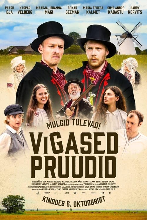 Vigased pruudid Vider