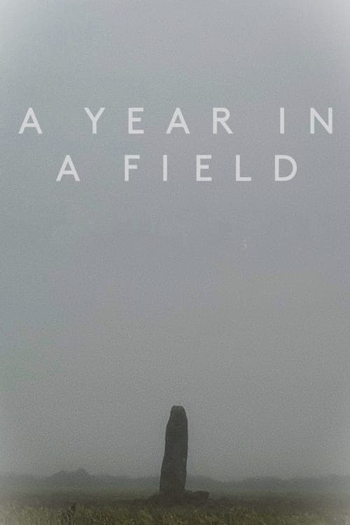 A Year in a Field Vider