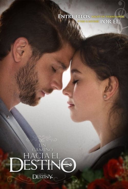 Un Camino Hacia el Destino 2016 [PL] Vider HDRip