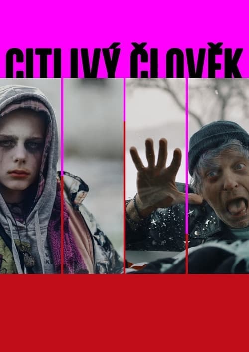 Citlivý člověk Vider