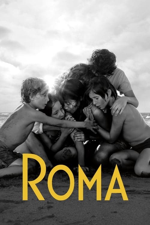 Roma Vider