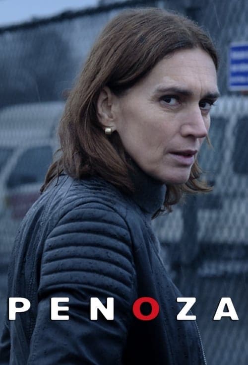 Penoza 2010 [PL] Vider HDRip