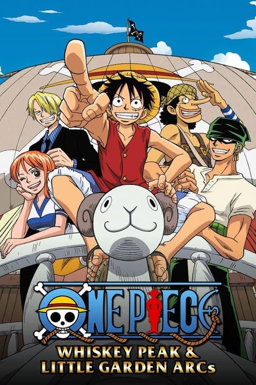 One Piece Vider