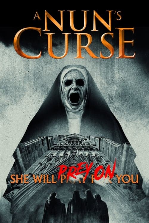 A Nun's Curse Vider