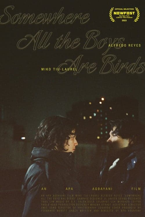 Somewhere All the Boys Are Birds Vider