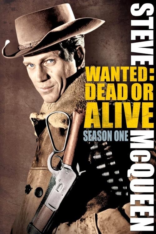 Wanted: Dead or Alive Vider