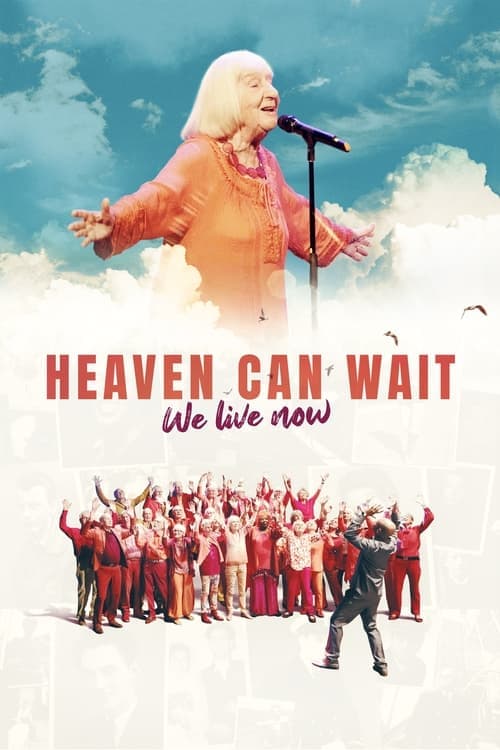 Heaven Can Wait – Wir leben jetzt Vider