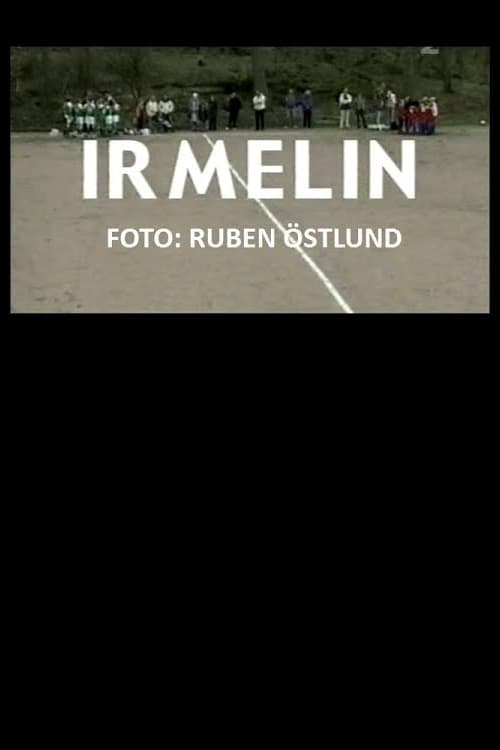 Irmelin Vider