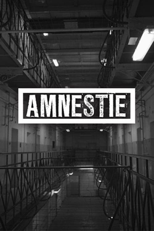 Amnestie Vider